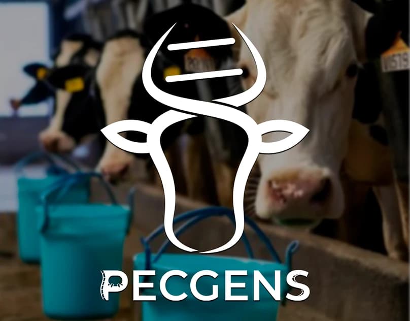 Pecgens — Criação de logotipo e aplicações da marca.